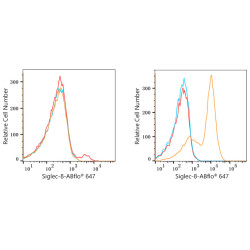 ABflo® 647 Rabbit anti-Human Siglec-8 mAb