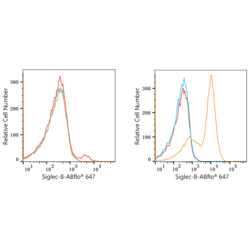 ABflo® 647 Rabbit anti-Human Siglec-8 mAb
