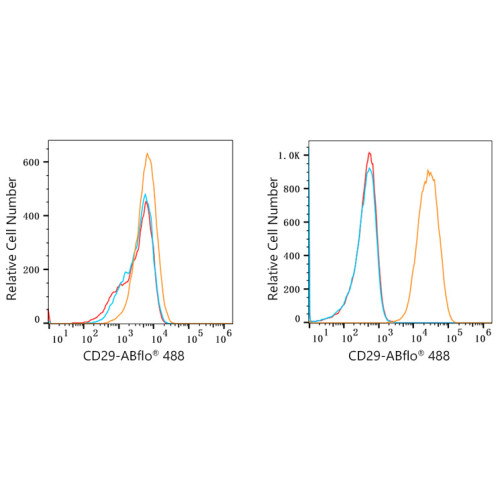 ABflo® 488 Rabbit anti-Human CD29/Integrin-β1 mAb