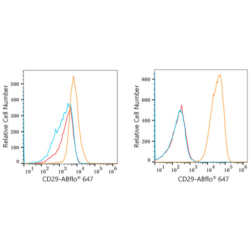 ABflo® 647 Rabbit anti-Human CD29/Integrin-β1 mAb