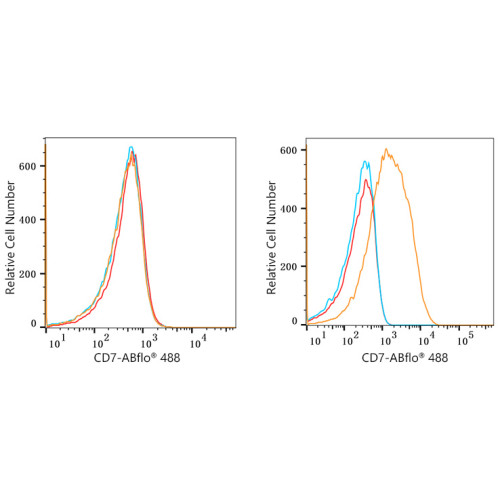 ABflo® 488 Rabbit anti-Human CD7 mAb