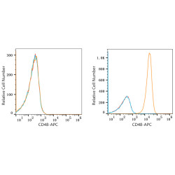 APC Rabbit anti-Human CD48 mAb, glycerol free