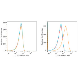 ABflo® 488 Rabbit anti-Human CD30 mAb