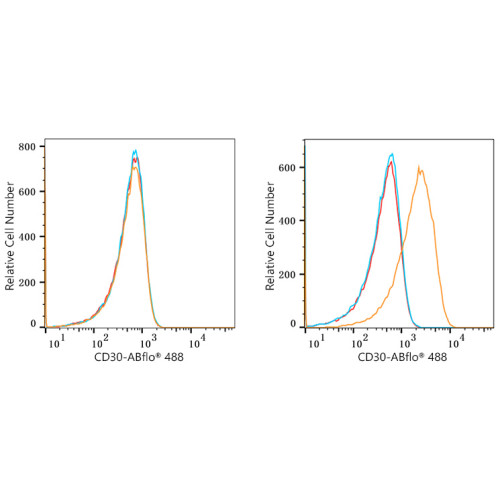 ABflo® 488 Rabbit anti-Human CD30 mAb