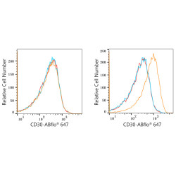 ABflo® 647 Rabbit anti-Human CD30 mAb