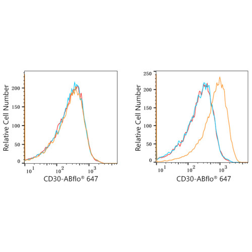 ABflo® 647 Rabbit anti-Human CD30 mAb