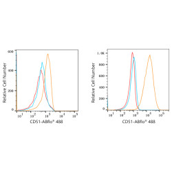 ABflo® 488 Rabbit anti-Human CD51/ITGAV mAb