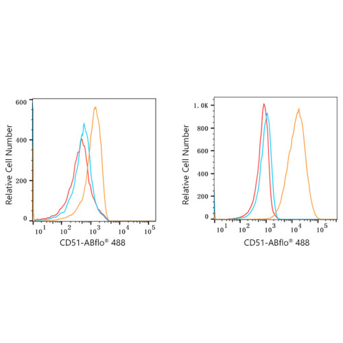ABflo® 488 Rabbit anti-Human CD51/ITGAV mAb