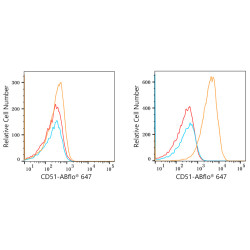 ABflo® 647 Rabbit anti-Human CD51/ITGAV mAb
