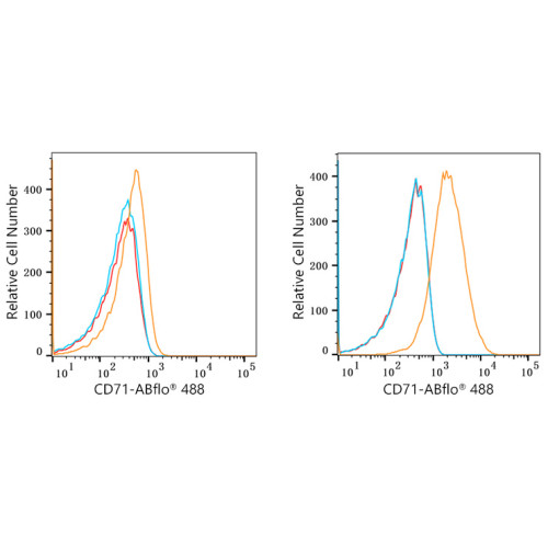 ABflo® 488 Rabbit anti-Human CD71 mAb