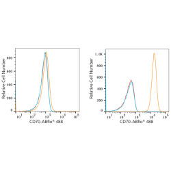 ABflo® 488 Rabbit anti-Human CD70 mAb
