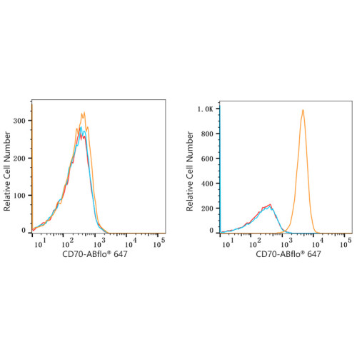 ABflo® 647 Rabbit anti-Human CD70 mAb
