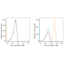 ABflo® 488 Rabbit anti-Human CD172a/SIRPα mAb