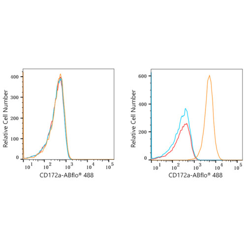 ABflo® 488 Rabbit anti-Human CD172a/SIRPα mAb