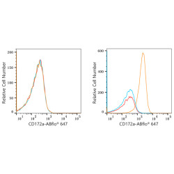 ABflo® 647 Rabbit anti-Human CD172a/SIRPα mAb