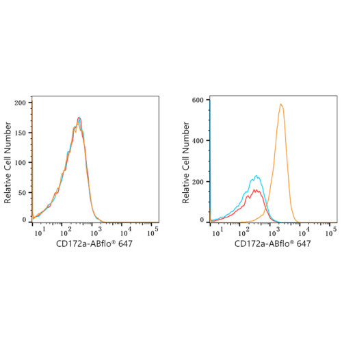 ABflo® 647 Rabbit anti-Human CD172a/SIRPα mAb