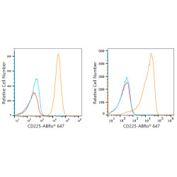 ABflo® 647 Rabbit anti-Human CD225/IFITM1 mAb