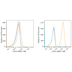 ABflo® 488 Rabbit anti-Human CD54/ICAM-1 mAb