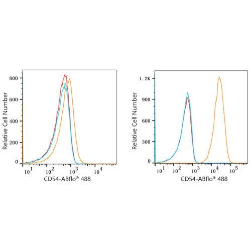 ABflo® 488 Rabbit anti-Human CD54/ICAM-1 mAb