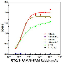 FITC/5-FAM/6-FAM Rabbit mAb
