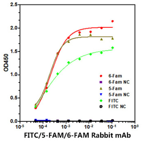 FITC/5-FAM/6-FAM Rabbit mAb