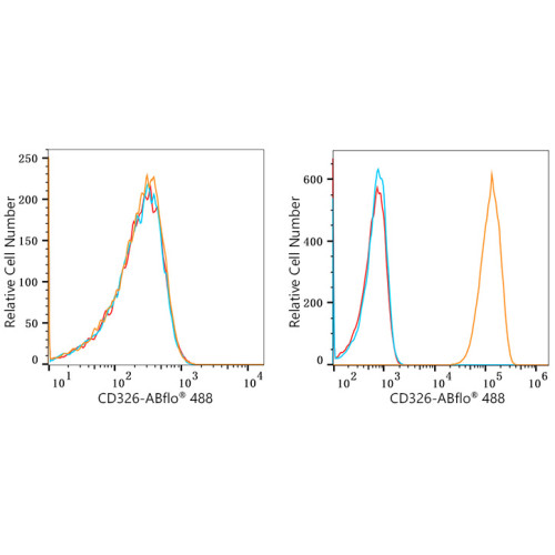 ABflo® 488 Rabbit anti-Human CD326/EPCAM mAb