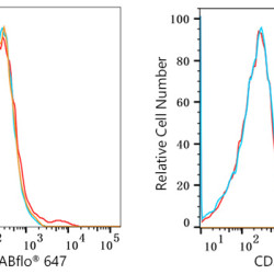 ABflo® 647 Rabbit anti-Human CD326/EPCAM mAb