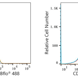 ABflo® 488 Rabbit anti-Human CD318/CDCP1 mAb