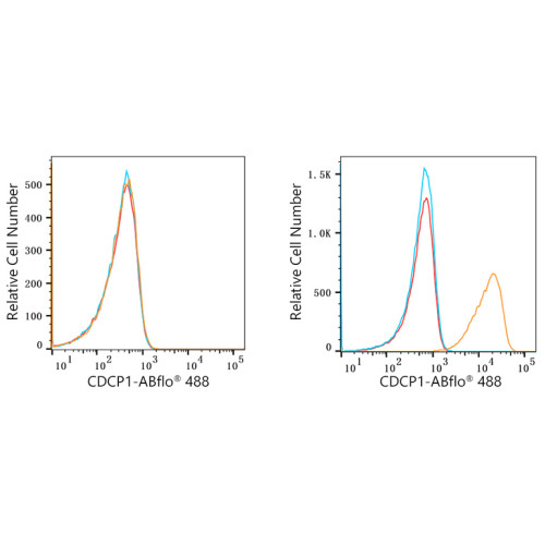ABflo® 488 Rabbit anti-Human CD318/CDCP1 mAb
