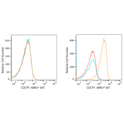 ABflo® 647 Rabbit anti-Human CD318/CDCP1 mAb