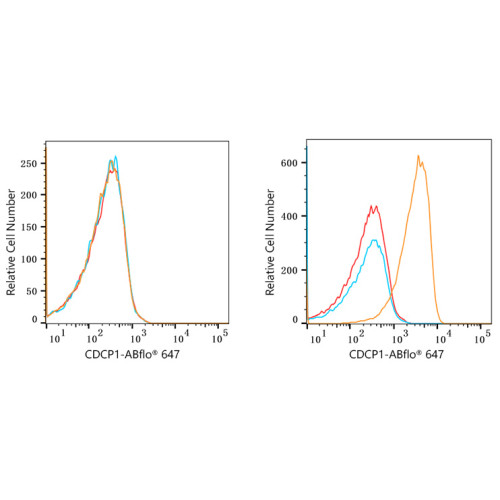 ABflo® 647 Rabbit anti-Human CD318/CDCP1 mAb