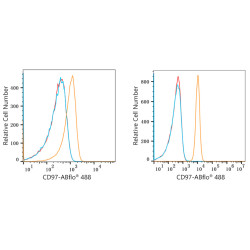 ABflo® 488 Rabbit anti-Human CD97 mAb