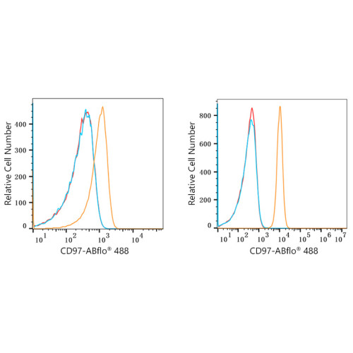ABflo® 488 Rabbit anti-Human CD97 mAb