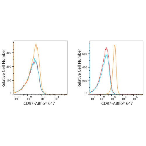 ABflo® 647 Rabbit anti-Human CD97 mAb