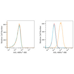 ABflo® 488 Rabbit anti-Human AXL mAb