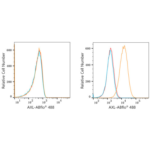 ABflo® 488 Rabbit anti-Human AXL mAb