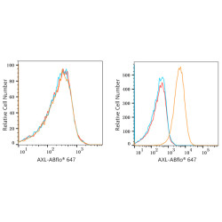 ABflo® 647 Rabbit anti-Human AXL mAb