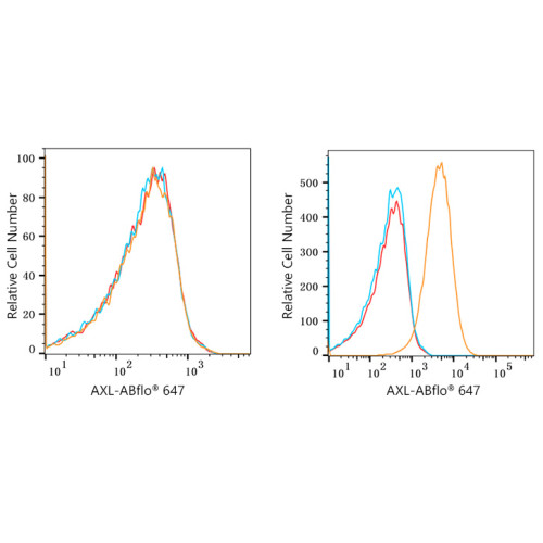 ABflo® 647 Rabbit anti-Human AXL mAb