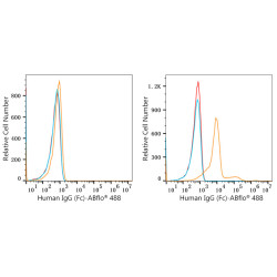 ABflo® 488 Rabbit anti-Human IgG (Fc) mAb