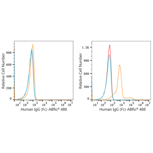 ABflo® 488 Rabbit anti-Human IgG (Fc) mAb