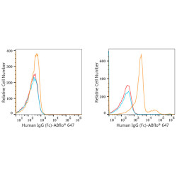 ABflo® 647 Rabbit anti-Human IgG (Fc) mAb