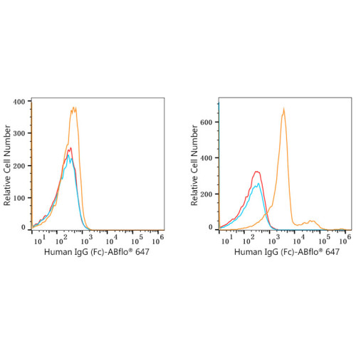 ABflo® 647 Rabbit anti-Human IgG (Fc) mAb
