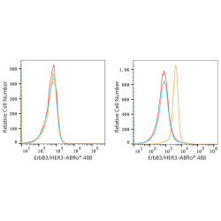 ABflo® 488 Rabbit anti-Human HER3/ErbB3 mAb