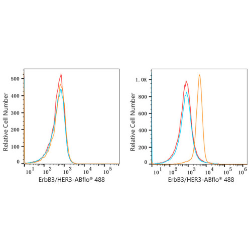 ABflo® 488 Rabbit anti-Human HER3/ErbB3 mAb