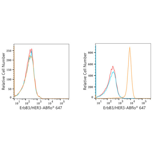 ABflo® 647 Rabbit anti-Human HER3/ErbB3 mAb