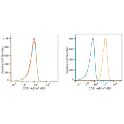 ABflo® 488 Rabbit anti-Human CD31/PECAM1 mAb
