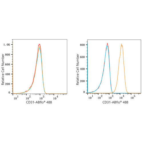 ABflo® 488 Rabbit anti-Human CD31/PECAM1 mAb