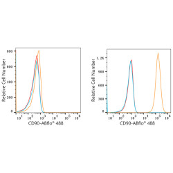 ABflo® 488 Rabbit anti-Human CD90/Thy1 mAb