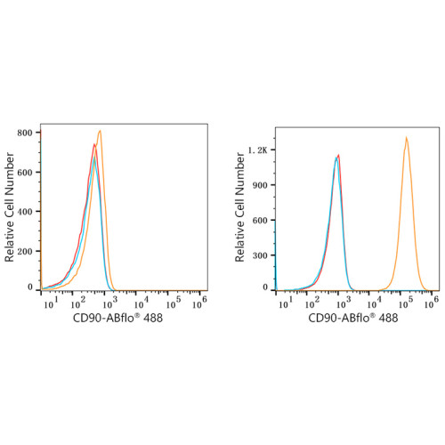 ABflo® 488 Rabbit anti-Human CD90/Thy1 mAb