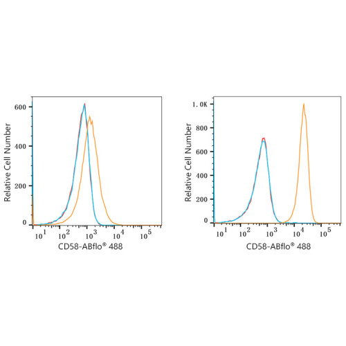 ABflo® 488 Rabbit anti-Human CD58 mAb
